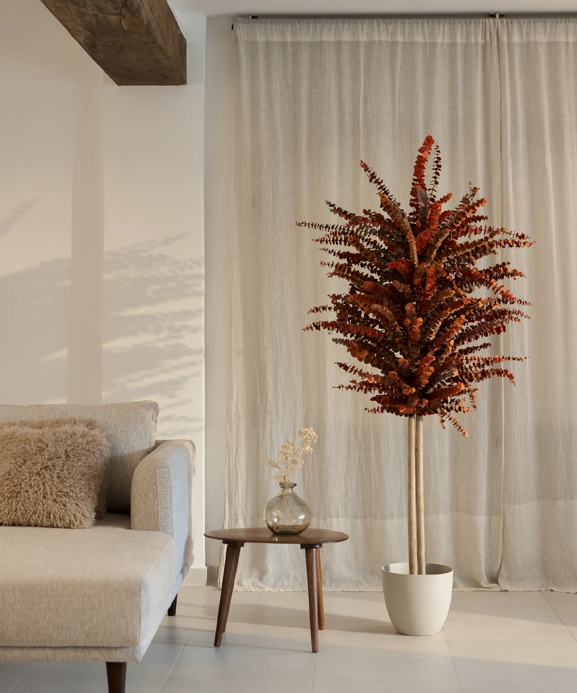 Plantas Preservadas